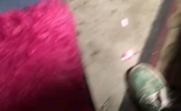 הפתעה בצרצר