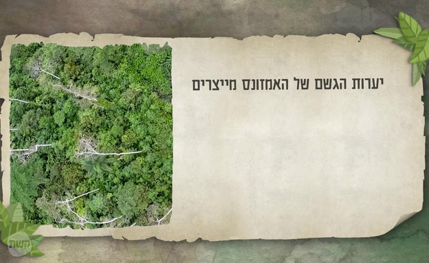 לומדים על האמזונס: חמצן