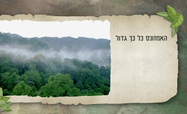 לומדים על האמזונס: החלל החיצון