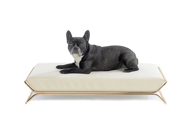 מיטת יוקרה לכלב (צילום: designwelove)