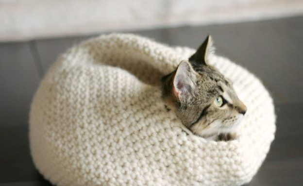 מיטת צמר לחתול (צילום: remodelista)