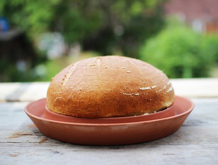 אופה לחם (צילום: קיקסטארטר)