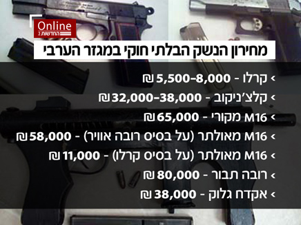 מחירי רובים (צילום: משטרת ישראל)