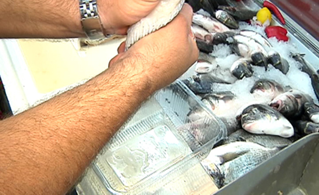בקרוב: הוזלה במחיר הדגים הקפואים (צילום: חדשות 2)