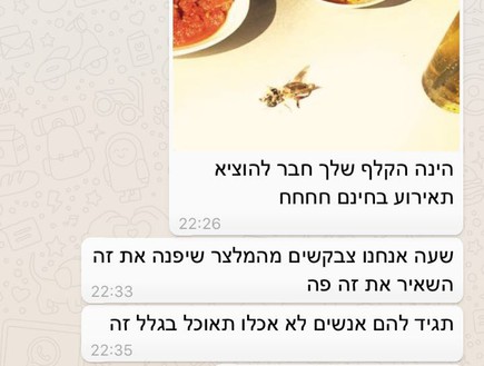 חרקים בחתונה