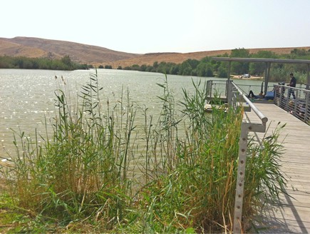 אגם ירוחם (צילום: נגה משל, mako חופש)