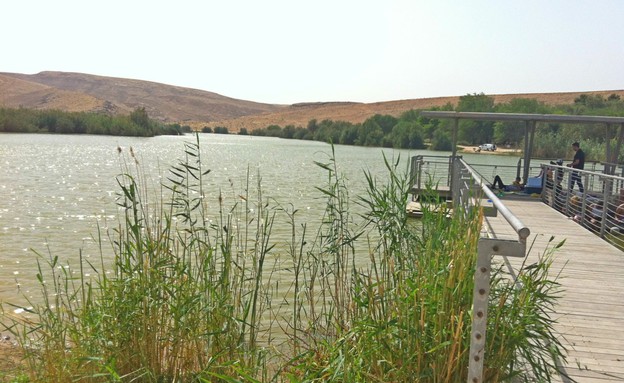אגם ירוחם (צילום: נגה משל, mako חופש)