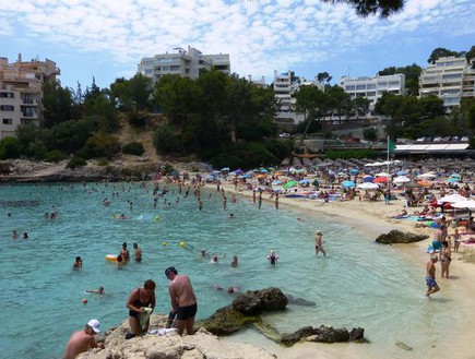 קייטי פטרסון