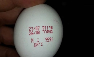 ביצים מוברחות (צילום: משרד החקלאות)