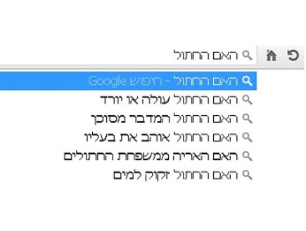 בית חכם (צילום: צילום מסך)