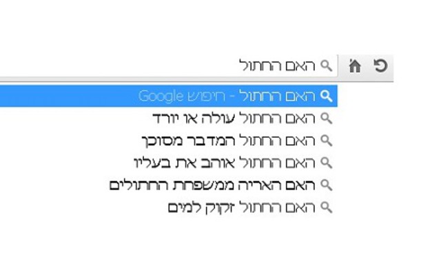 בית חכם (צילום: צילום מסך)