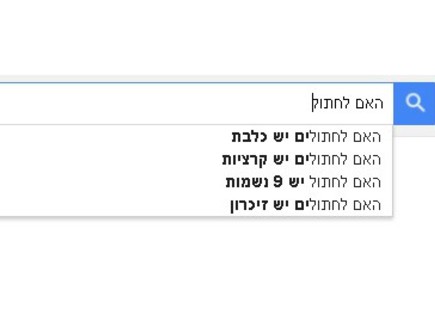 בית חכם (צילום: צילום מסך)