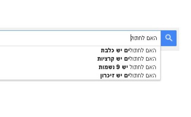 בית חכם (צילום: צילום מסך)