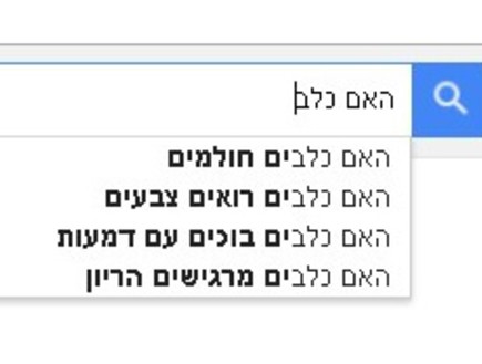 בית חכם (צילום: צילום מסך)