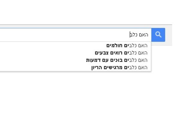 בית חכם (צילום: צילום מסך)