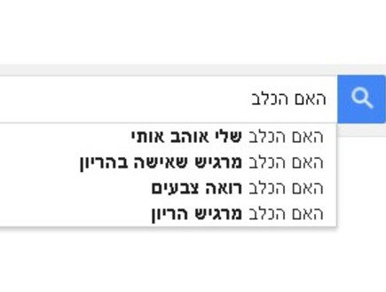 בית חכם (צילום: צילום מסך)