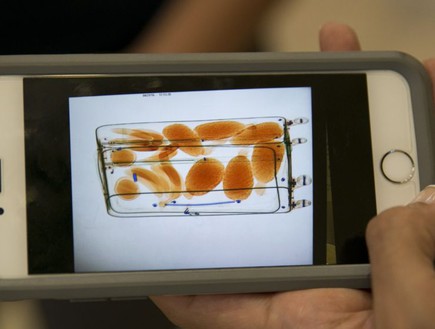 מזוודה מלאה בירקות ופירות בנתב"ג