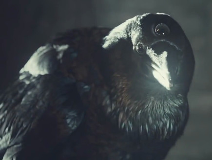 three eyed raven (צילום: HBO)