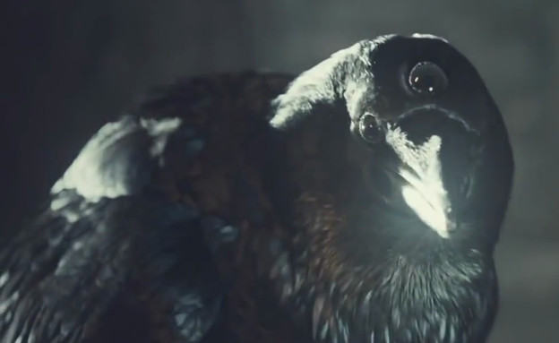 three eyed raven (צילום: HBO)