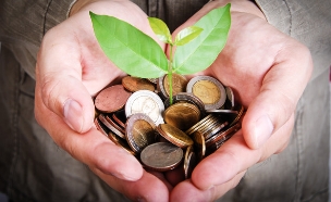 יד מחזיקה מטבעות ששתיל צומח מתוכן (אילוסטרציה: Shutterstock)