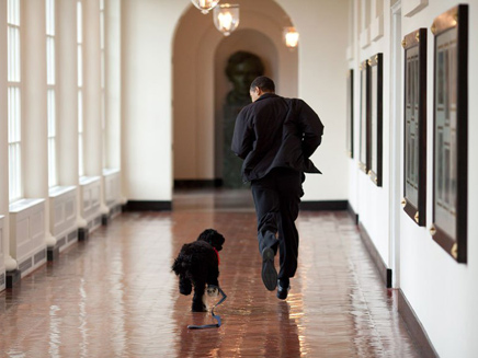 רץ במסדרון עם בו (או אולי סאני?) (צילום: Pete Souze, The White House)