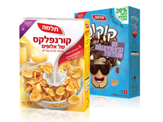 ×ª×œ×ž×