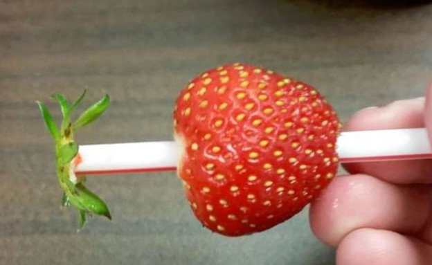 תותים תותים