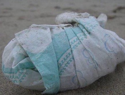 חיתול חיתול