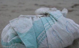 חיתול (צילום:  TheDanimal8888)