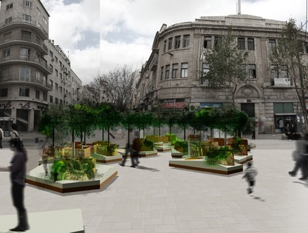 מקודשת 2016, מציון תצא חורשה