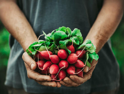 אוכל אורגני (צילום: mythja, Shutterstock)