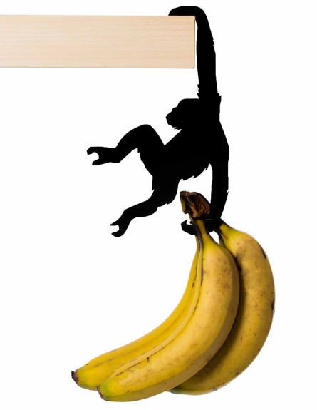 תערוכה, ארטאורי, מתלה קוף, 49 שקלים (צילום: לילך שי ברייטמן)