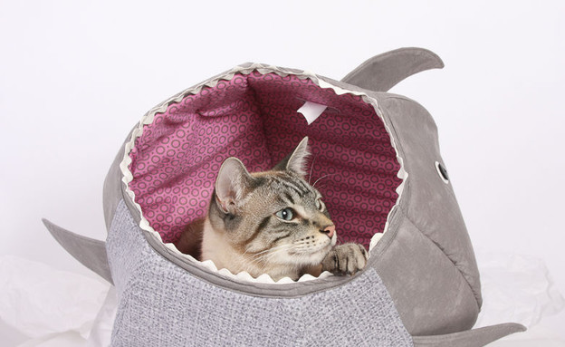 החמישייה 16.8, מיטת כריש לחתול (צילום: thecatball)