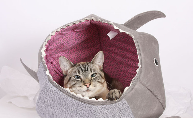 החמישייה 16.8, מיטת כריש לחתול (צילום: thecatball)