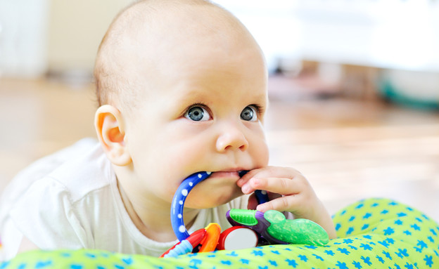 תינוק ונשכן (צילום: Shutterstock)