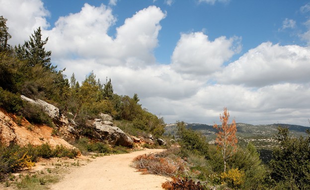 הרי ירושלים (צילום: slavapolo, Shutterstock)
