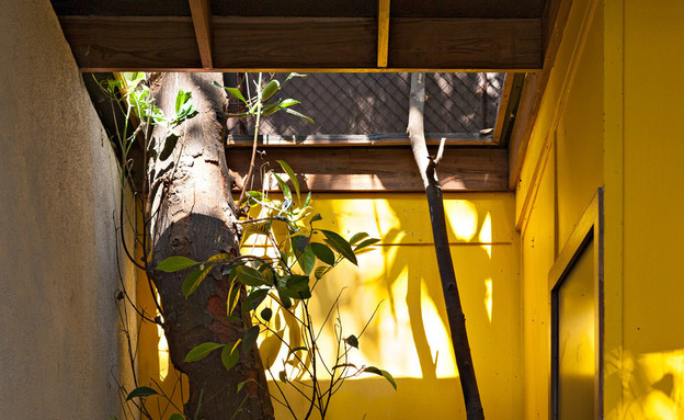 סקיילייט, ביתן הזכוכית במומבאיי (צילום: Alan Abraham מתוך האתר הרשמי)