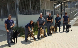 צפו: כלבי המשטרה בהכשרה (צילום: דוברות המשטרה)