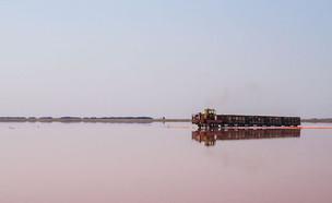 אגם ורוד ברוסיה (צילום: Andrew Kudrin, Flickr CC BY-NC 2.0)
