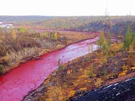 מדוע המים נצבעו באדום? (צילום: חדשות 2)