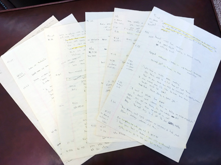 המסמכים כתובים בכתב היד של פליישר