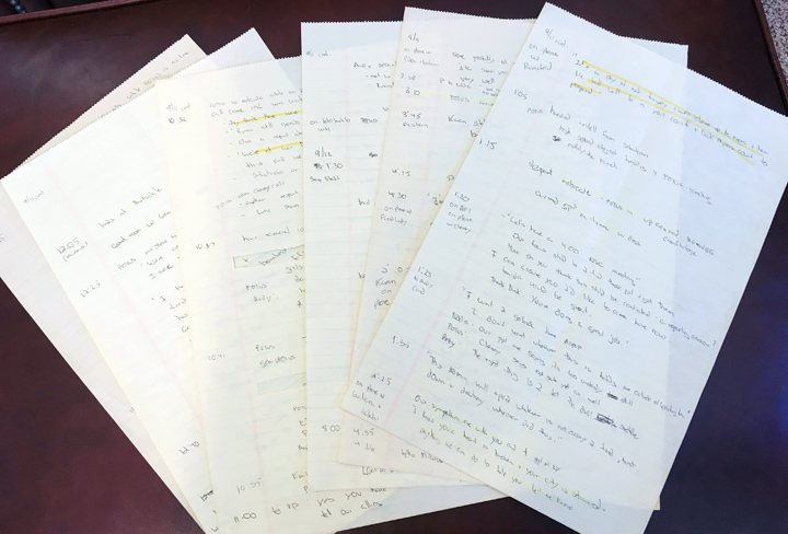 המסמכים כתובים בכתב היד של פליישר (צילום: רויטרס)