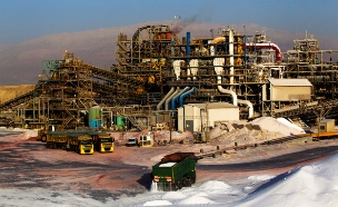 מפעל כימיקלים לישראל (צילום: רויטרס)