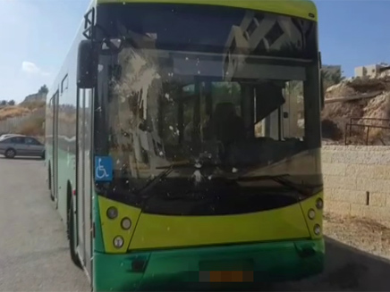 אוטובוס נרגם באבנים סמוך למעלה אדומים (צילום: דוברות משטרת ישראל)