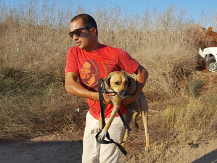 הכלבה מחולצת מהחוף, השבוע (צילום: אגודת צער בעלי חיים בישראל)