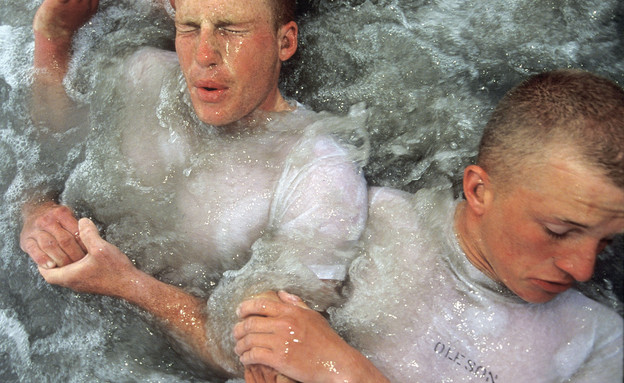 אריות הים אילוסטרציה (צילום: Joe McNally, GettyImages IL)