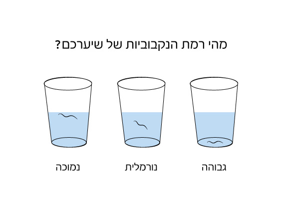 נקבוביות שיער