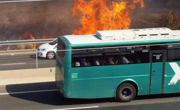 השריפה בכביש החוף