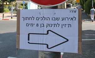 שלטים בתל אביב (צילום: שרדר, NEXTER)