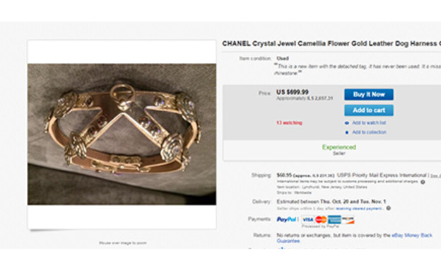 קולר שאנל קולר שאנל